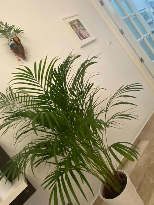 Appartamento Casa Mina Cadice Esterno foto